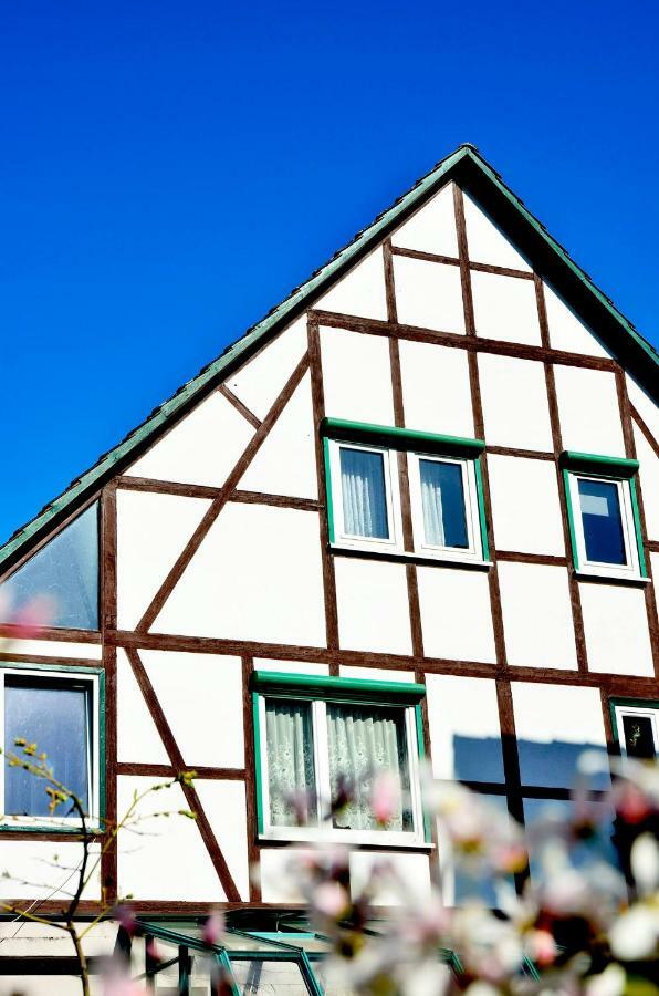Ferienwohnung Wilhelm Springstille 외부 사진