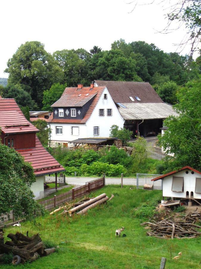 Ferienwohnung Wilhelm Springstille 외부 사진